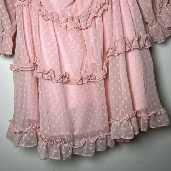 Dusty Pink Swiss Dot Mini Dress with Ruffles – Size Large - Picture 14 of 15